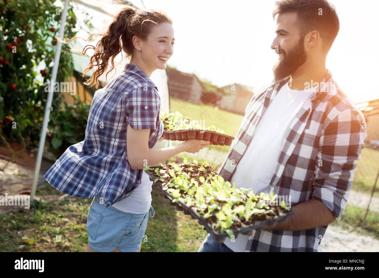 Due attraenti le giovani donne che lavorano in serra e piantare semi. Foto Stock