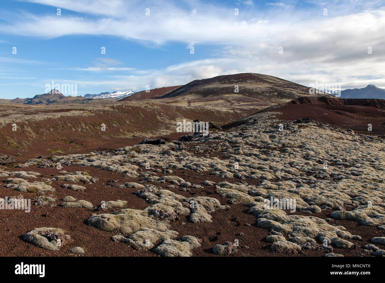 Paesaggio vulcanico, Snaefellsnes Peninsula, Western Islanda Islanda Foto Stock