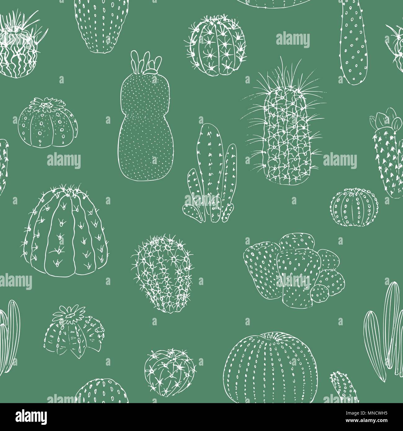 Cactus seamless pattern, disegnati a mano illustrazione vettoriale. Delineare schizzo chalk stile. Collezione di succulente. Illustrazione Vettoriale