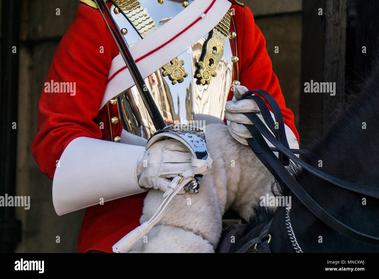 Casa Tradizionale cavalleria guardia in alta uniforme Foto Stock