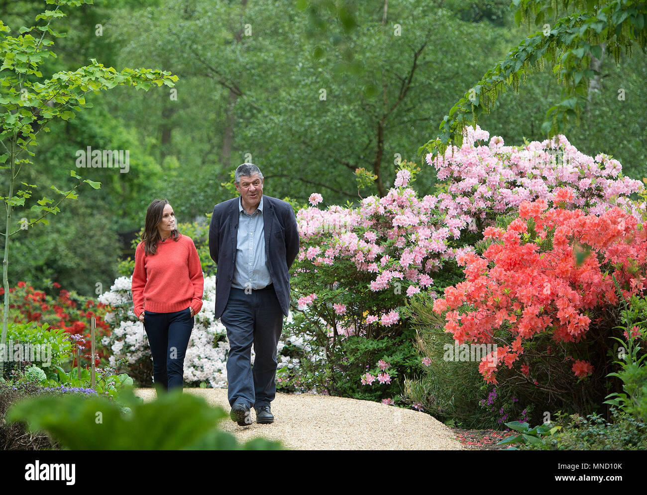 Fioraio Philippa Craddock e custode dei giardini a Windsor Great Park John Anderson, scegliendo gli impianti dal Savill Garden per essere utilizzati in composizioni floreali in corrispondenza alla cappella di San Giorgio, Windsor per le nozze del principe Harry e Meghan Markle. Foto Stock