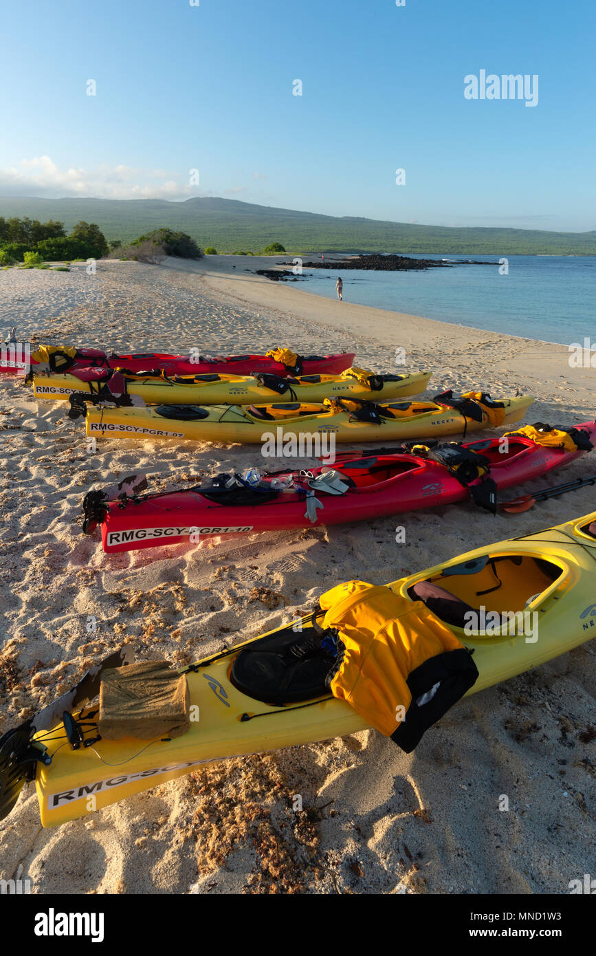 La gente camminare lungo una spiaggia sul mare una gita in kayak, San Cristobal Island, Isole Galapagos, Ecuador. Foto Stock
