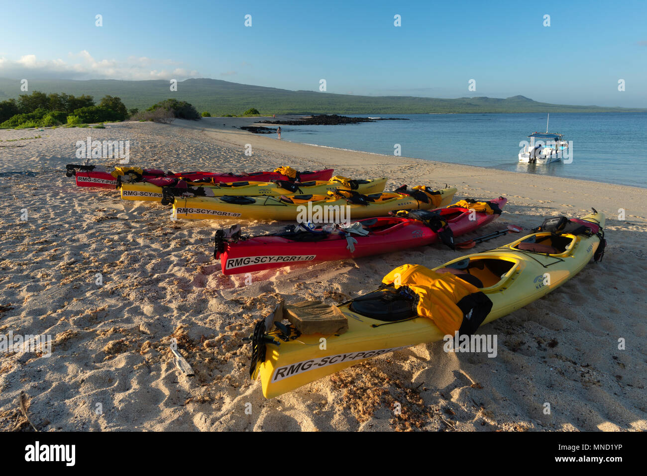 La gente camminare lungo una spiaggia sul mare una gita in kayak, San Cristobal Island, Isole Galapagos, Ecuador. Foto Stock
