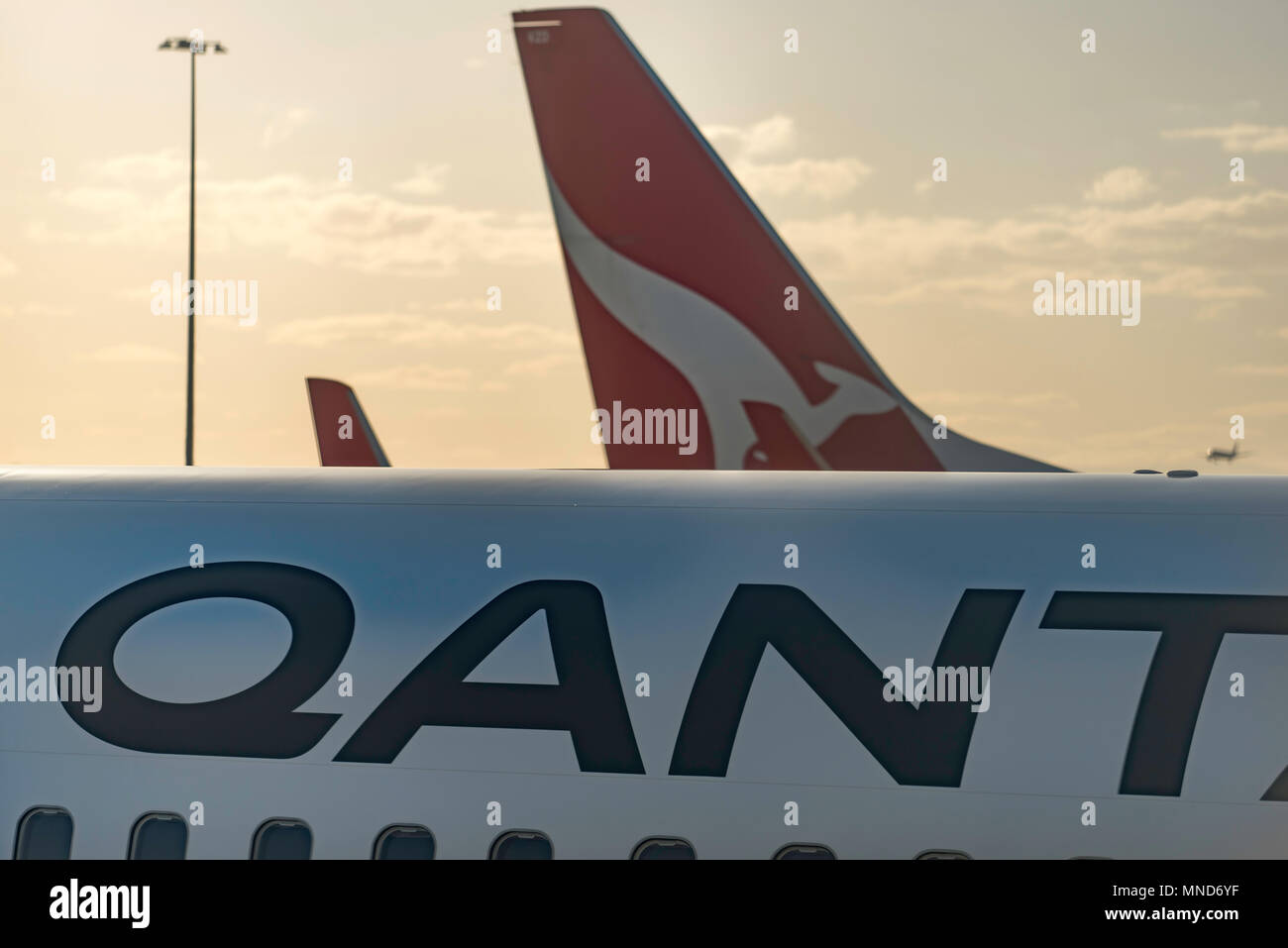 Un lato su immagine di più getti Qantas all'Aeroporto di Melbourne in un pomeriggio soleggiato in Australia Foto Stock