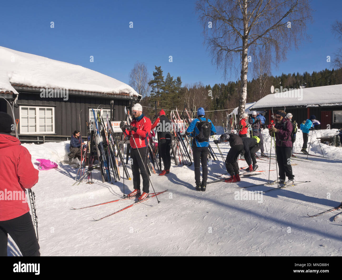 In Mariholtet Ostmarka è una destinazione popolare per gli sciatori ed escursionisti su una domenica d'inverno in Oslo Norvegia, un periodo di riposo al sole Foto Stock