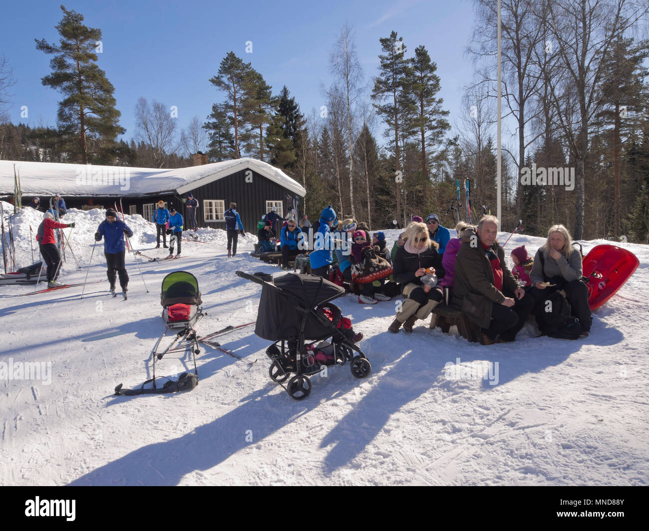 In Mariholtet Ostmarka è una destinazione popolare per gli sciatori ed escursionisti su una domenica d'inverno in Oslo Norvegia, un periodo di riposo al sole Foto Stock