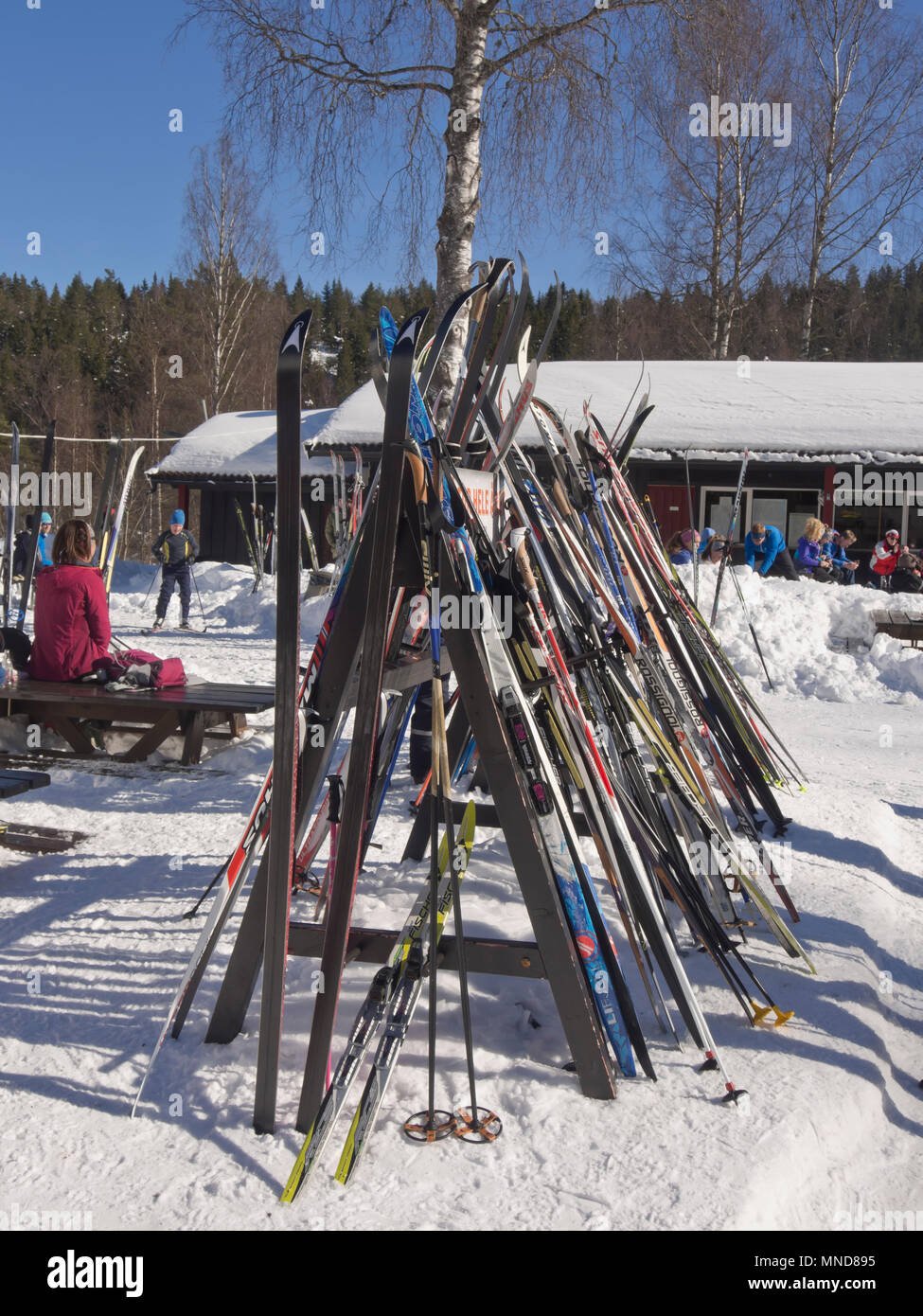 In Mariholtet Ostmarka è una destinazione popolare per gli sciatori ed escursionisti su una domenica d'inverno in Oslo Norvegia, portasci all'esterno della cabina Foto Stock
