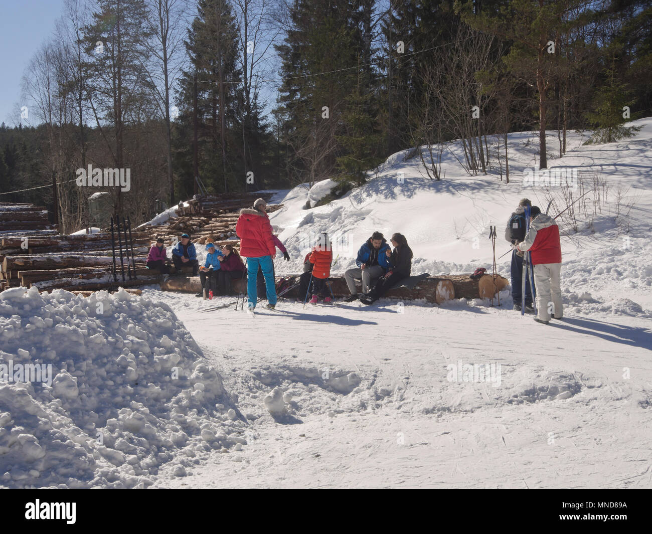 In Mariholtet Ostmarka è una destinazione popolare per gli sciatori ed escursionisti su una domenica d'inverno in Oslo Norvegia, un periodo di riposo al sole Foto Stock