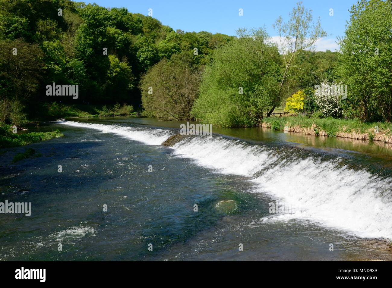 Weir sul fiume teme un grado 2 edifici probabilmente di origine medievale Ludlow Shropshire England Regno Unito Foto Stock