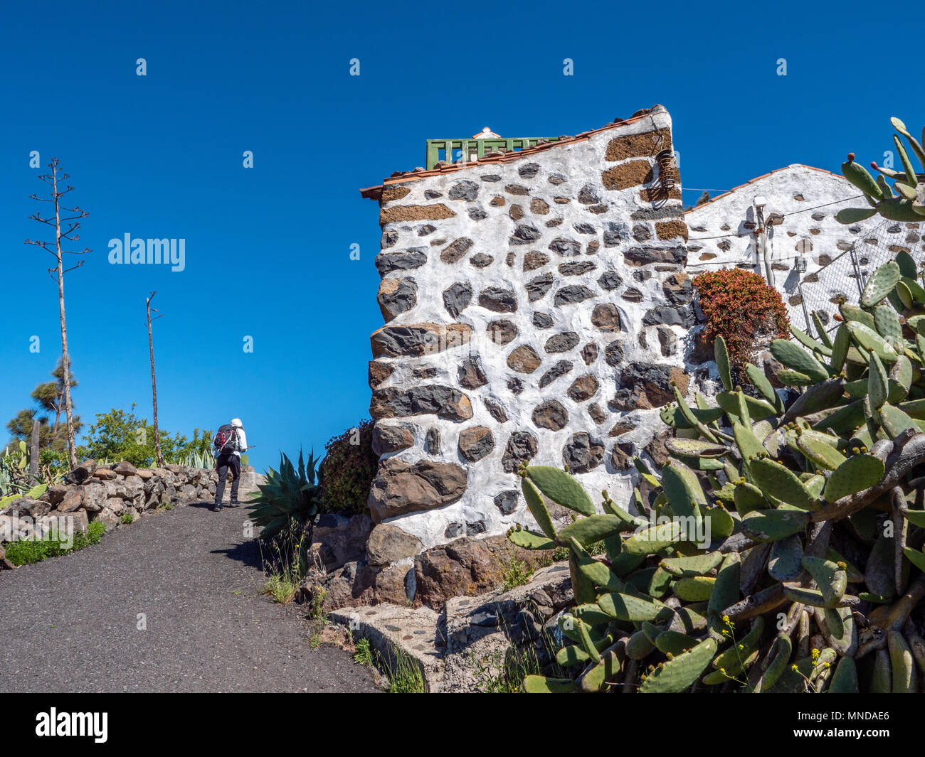 Un viandante nei pressi del villaggio di Chipude sull'isola di La Gomera nelle isole Canarie passando un bianco casa murata con opuntia cactus Foto Stock