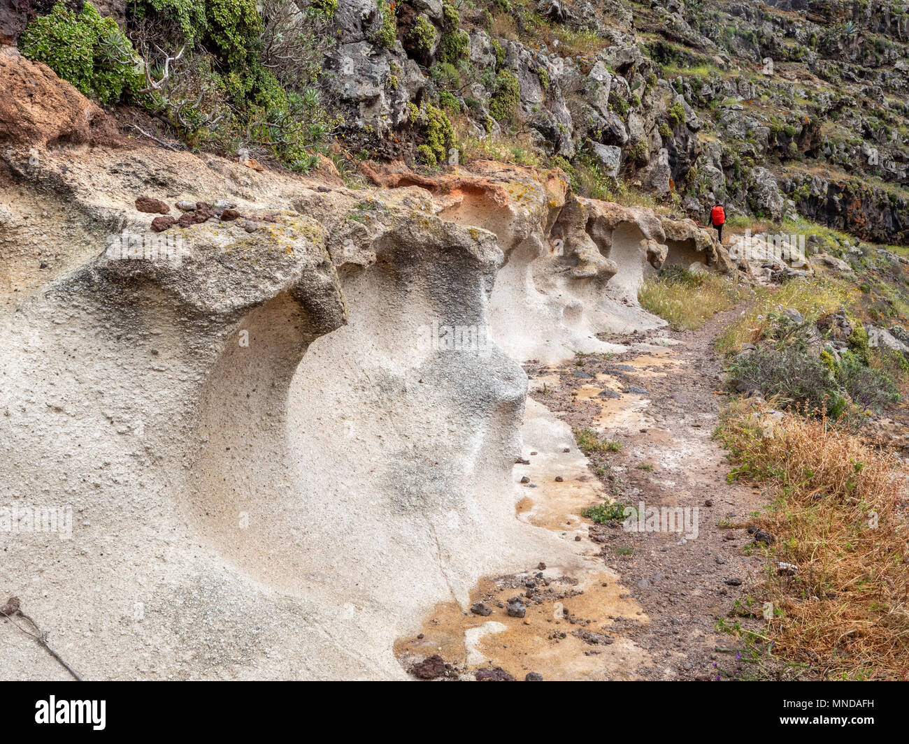 Walker passando curiosamente weathered soft di pomice bianca sotto lo strato duro strati di basalto sopra San Sebastian su La Gomera Canarie Foto Stock