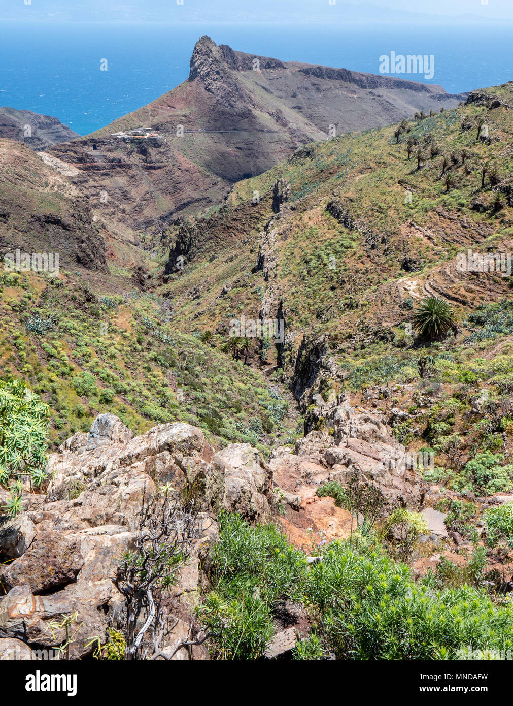 Diga di origine vulcanica che attraversano il paesaggio a Punta de Avolo sul secco costa orientale di La Gomera nelle isole Canarie Foto Stock