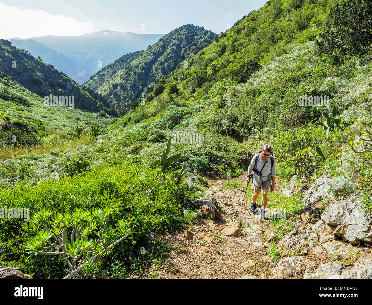 Una femmina di walker salendo ripidamente fino il Barranco de la ser Nueva o New Age Valley vicino a Vallehermoso a La Gomera Canarie Foto Stock