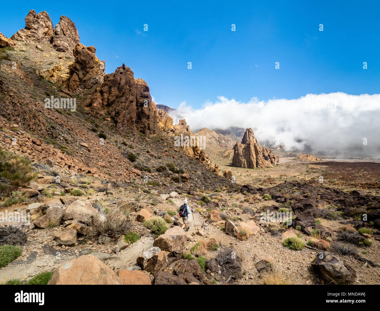 Il camminatore femmina avvicinando sorprendente formazione di roccia della Cattedrale un eroso spina vulcanica a Roques de Garcia sul Monte Teide Tenerife Isole Canarie Foto Stock