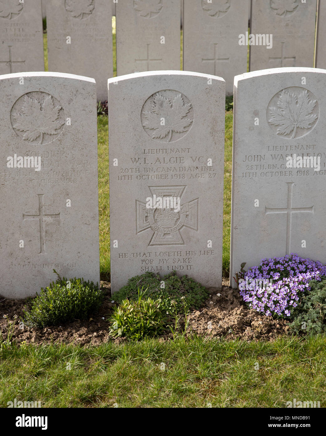 Tomba di Lt Wallace Lloyd Algie VC (10 giugno 1891 - 11 ottobre 1918) un canadese destinatario della Victoria Cross durante la Grande Guerra Foto Stock
