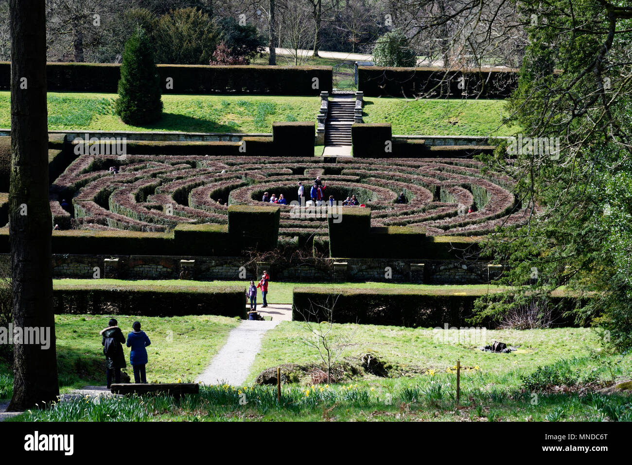 Il labirinto a Chatsworth House vicino a Bakewell nel Derbyshire, Inghilterra Foto Stock