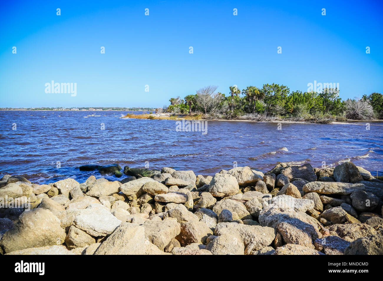 Stato Tomoka Park di Ormond Beach Florida Foto Stock