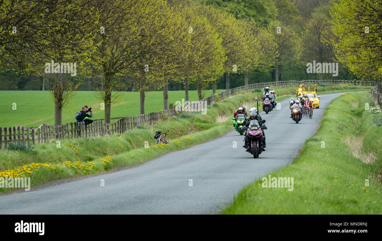 Moto outriders & i ciclisti nel pack, gareggiando in Tour de Yorkshire 2018, corse su una pittoresca campagna lane - Ilkley, North Yorkshire, Inghilterra, Regno Unito. Foto Stock