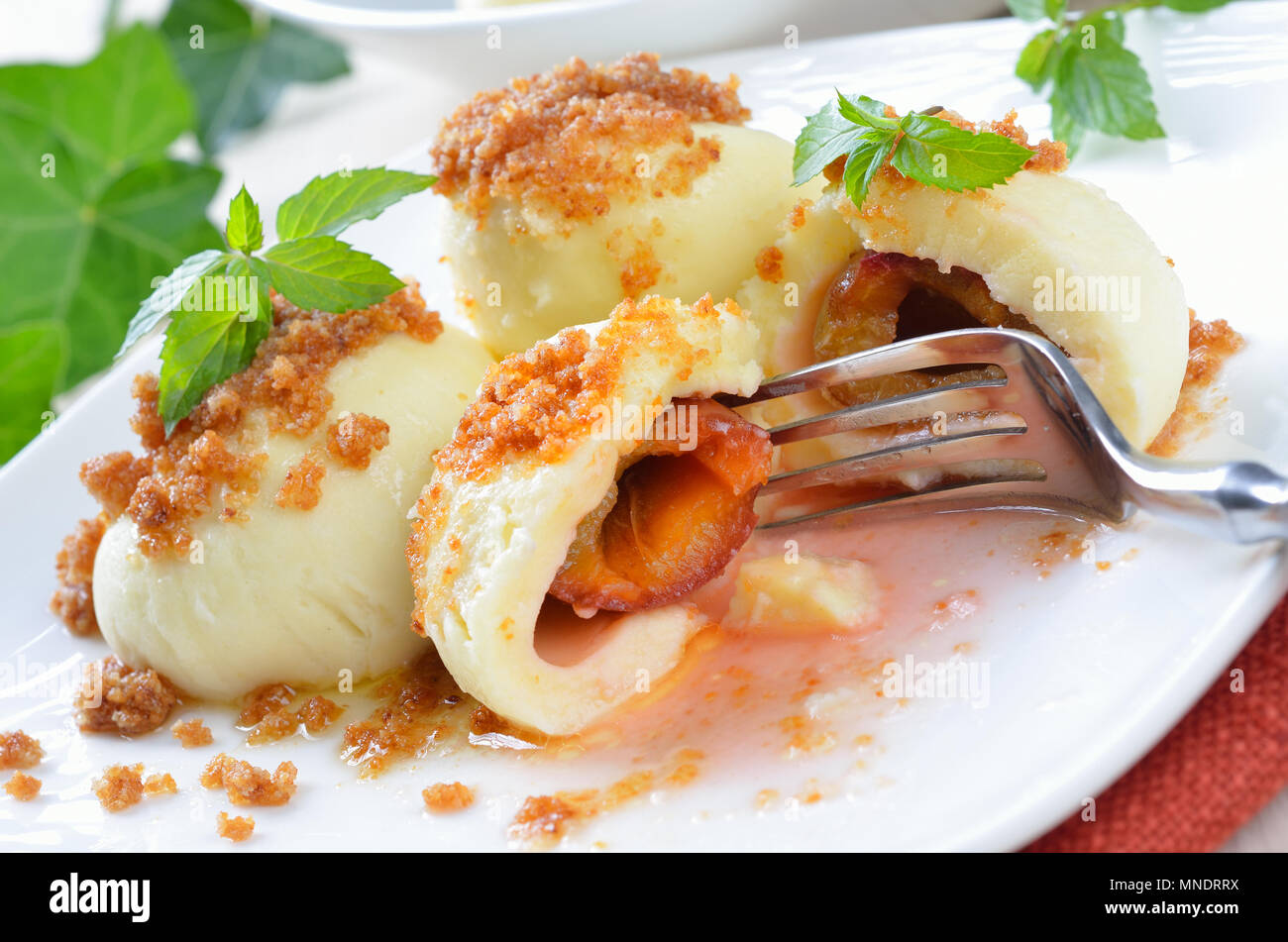 Tipiche austriache gnocchi di prugna fatta di pasta lievitata e prugne fresche Foto Stock