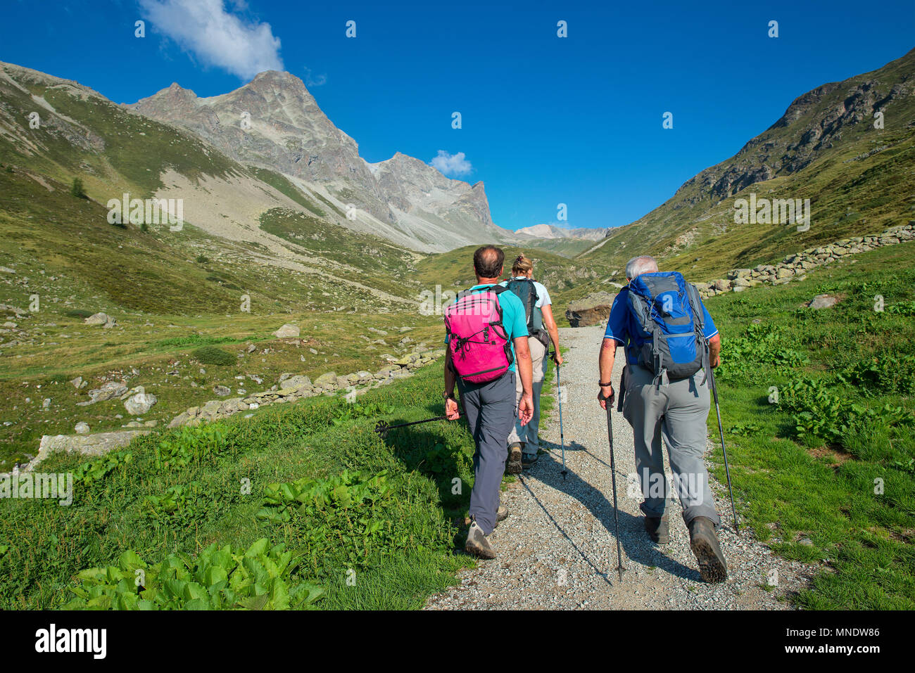 Gruppo di pensionati anziani escursionisti durante la camminata in montagna. Foto Stock