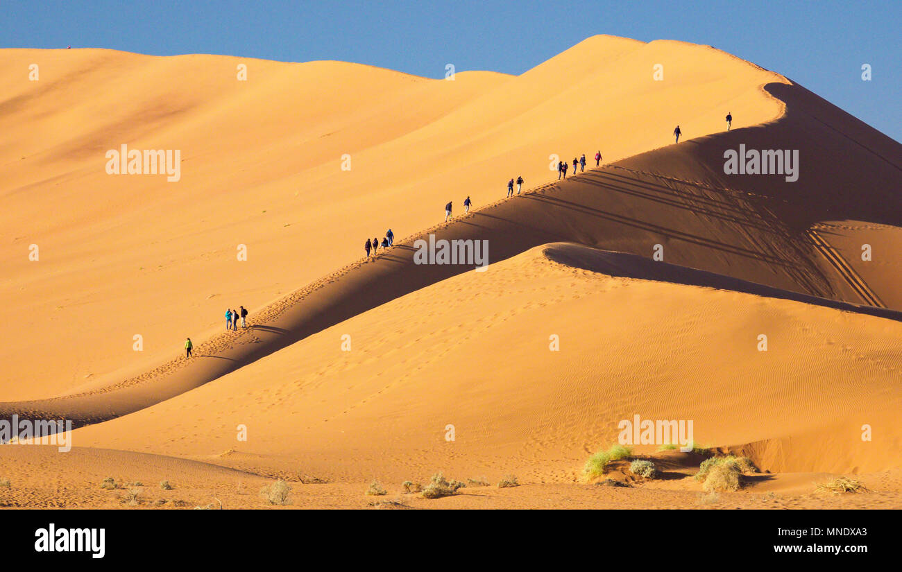 Big Daddy- Namib Naukluft Parco Nazionale della Namibia. Foto Stock
