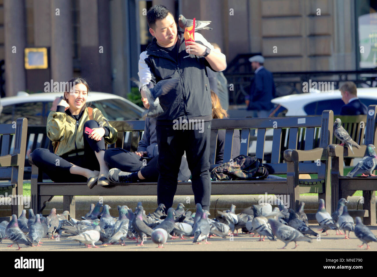 Glasgow, Scotland, Regno Unito 16 maggio.UK Meteo: alimentazione piccioni tempo soleggiato sopra la città ha portato la gente del posto e i turisti nelle strade per rubinetti aff meteo. Late Night sun adoratori in George Square nel cuore della citta'.. Credito: gerard ferry/Alamy Live News Foto Stock