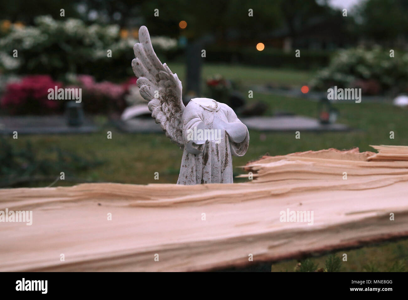 16 maggio 2018, Germania, Schwalmtal: un albero caduto che giace accanto a un distrutto figura di angelo ina giardino. Il tornado ha, secondo le autorità, un 'causarono un percorso di distruzione'. Almeno una persona è stata gravemente ferito dalla tempesta. Foto: David Giovani/dpa Foto Stock