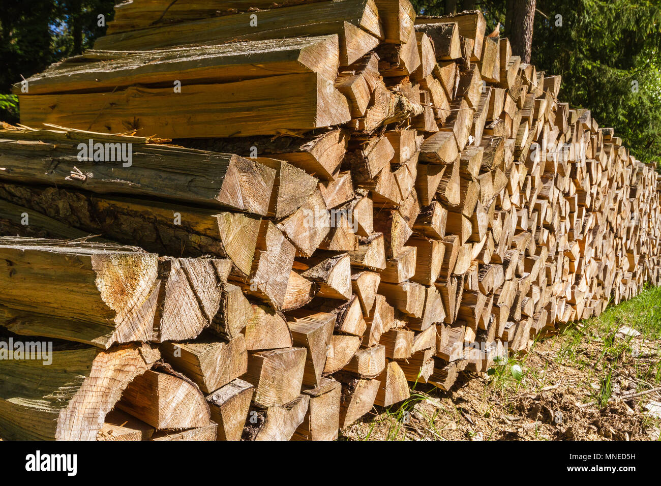 Palo di legno - escursionismo in una bella giornata di primavera Reinprechts/ Heinrichs - Weitra - Austria Inferiore, Europa Foto Stock