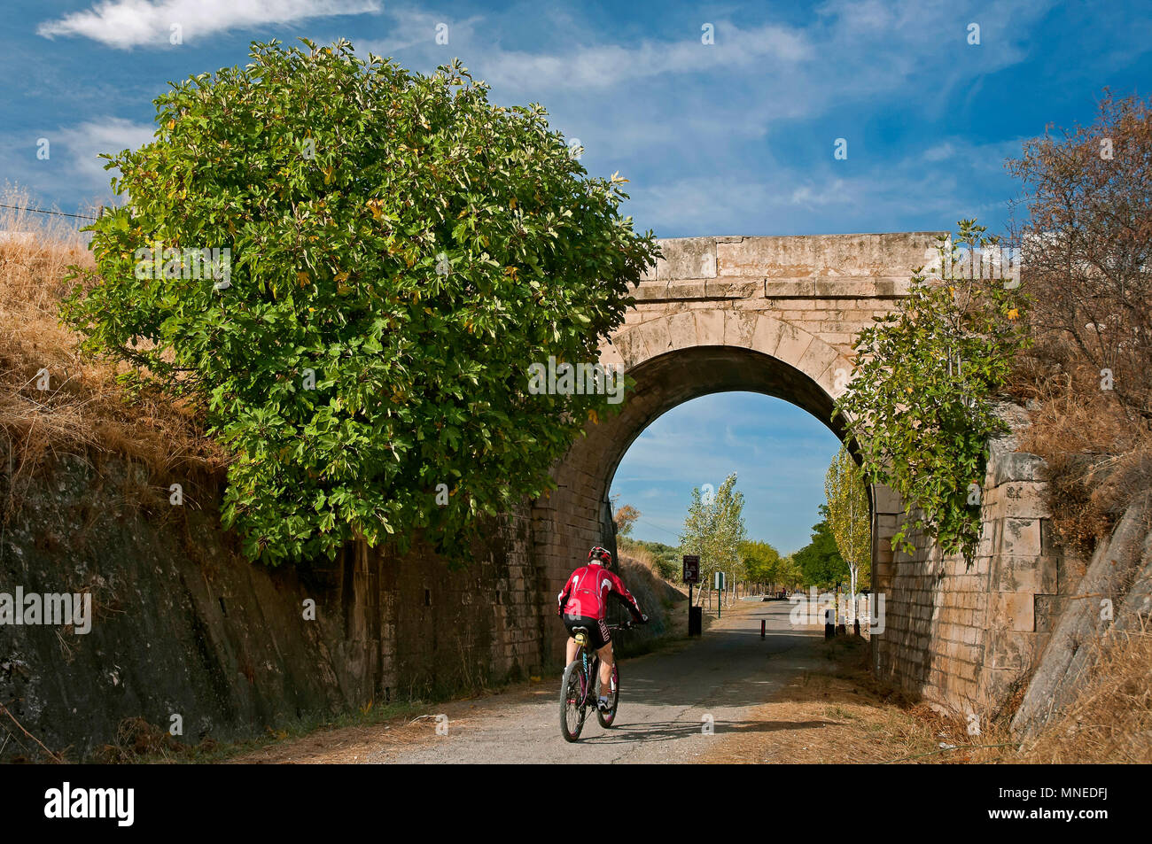 La Greenway della Subbetica (vecchia linea ferroviaria del cosiddetto " olio treno') - percorso e il ciclista. Cabra. In provincia di Cordoba. Regione dell'Andalusia. Spagna. Eur Foto Stock