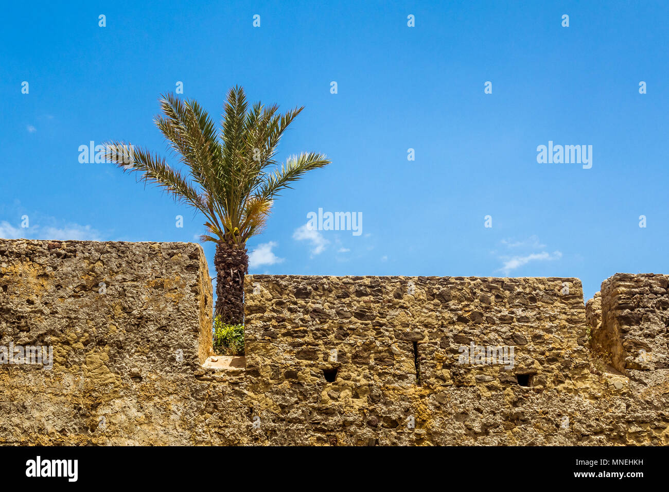 Bastione e il palm tree in un marocchino medina Foto Stock