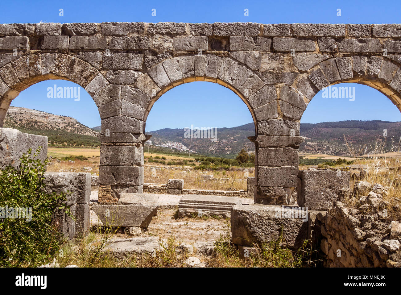 Rovine della basilica romana di Volubilis, un sito patrimonio mondiale dell'UNESCO vicino a Meknes e Fez, in Marocco Foto Stock