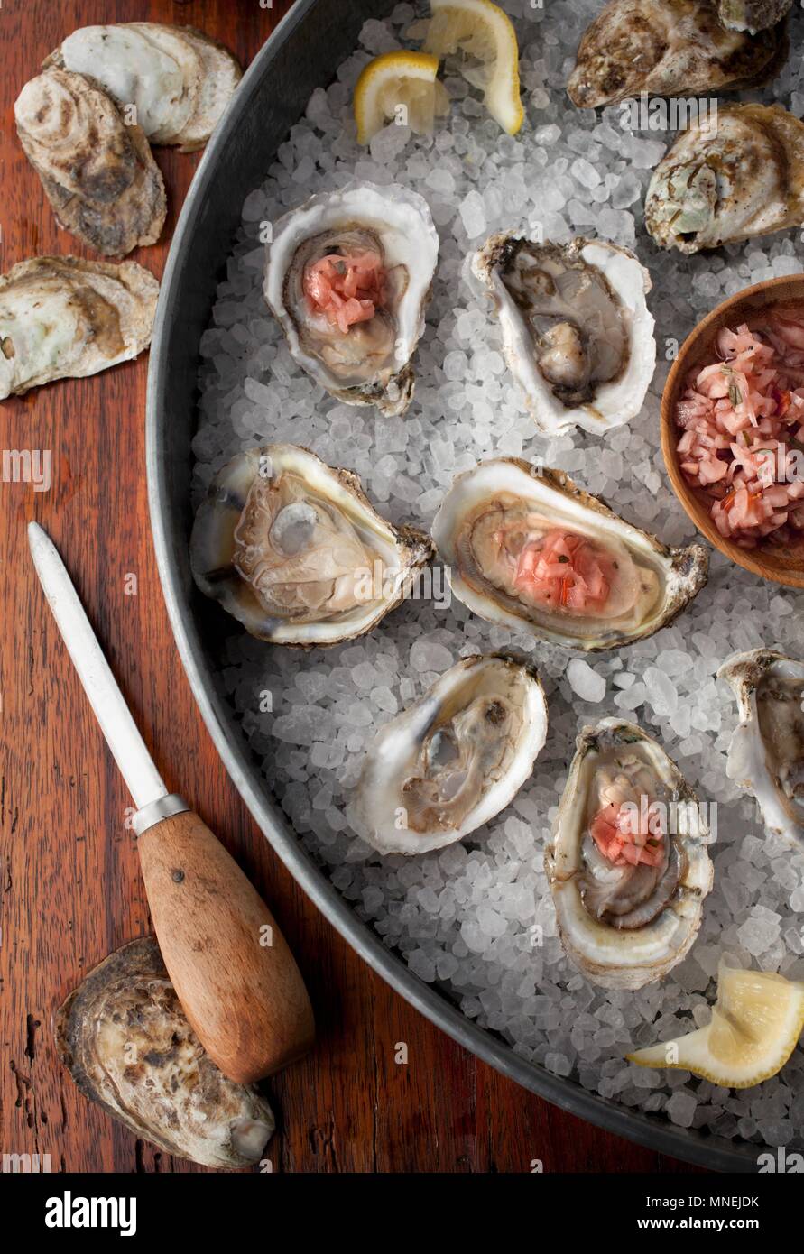 Le ostriche in gusci su un letto di sale con spicchi di limone e una salsa di Mignonette Foto Stock