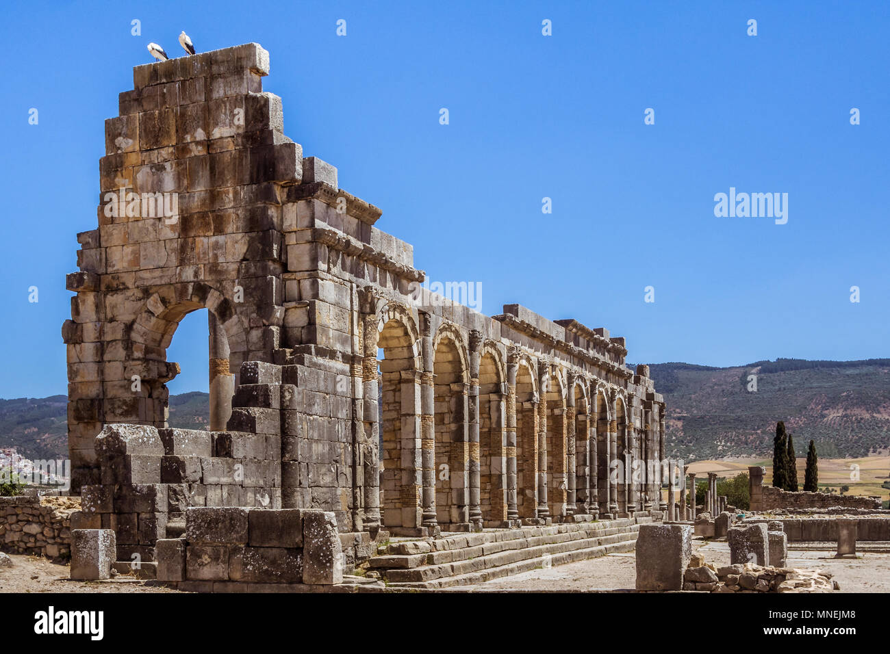 Rovine della basilica romana di Volubilis, un sito patrimonio mondiale dell'UNESCO vicino a Meknes e Fez, in Marocco Foto Stock
