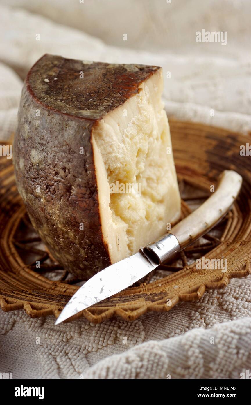 Fiore sardo (sardo il formaggio di pecora, Italia) Foto Stock