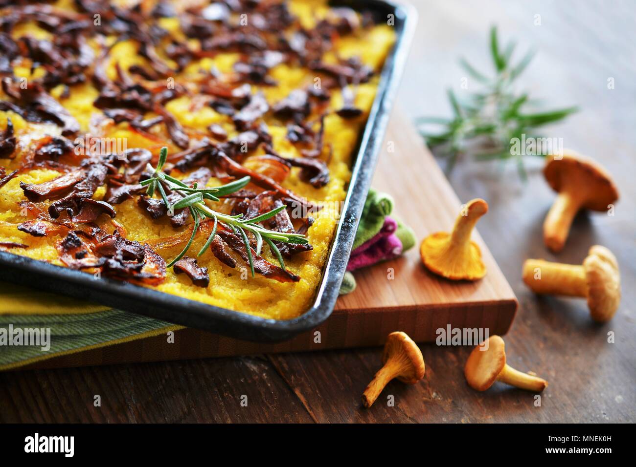 Torta di polenta con finferli e cipolle su un vassoio da forno accanto a funghi freschi e rametti di rosmarino Foto Stock