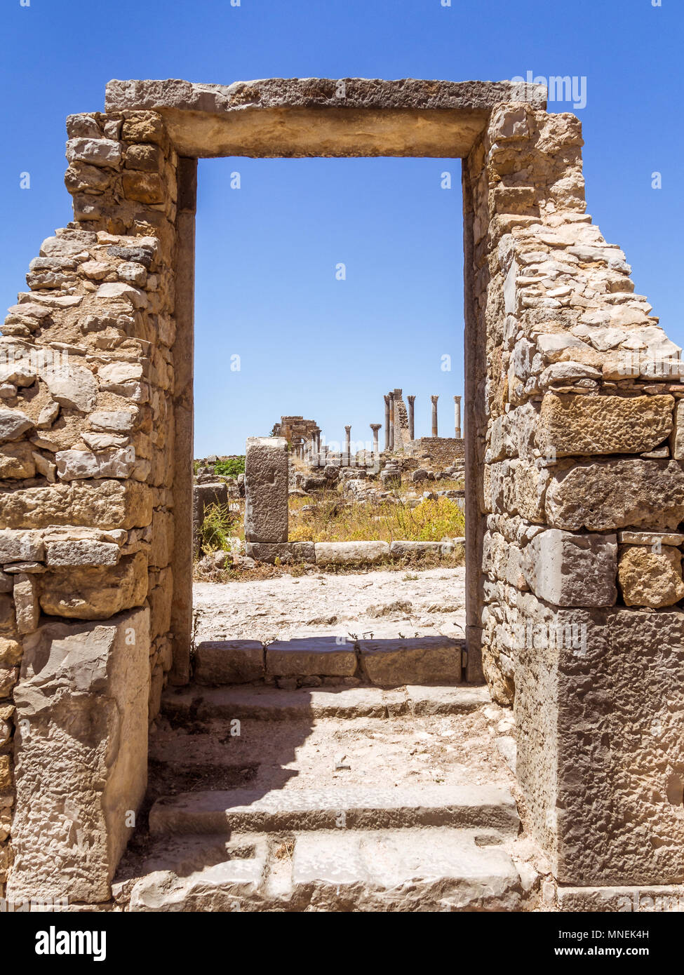 Rovine della basilica romana di Volubilis, un sito patrimonio mondiale dell'UNESCO vicino a Meknes e Fez, in Marocco Foto Stock