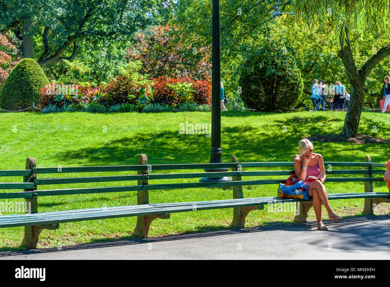 Boston, Massachusetts, STATI UNITI D'America - 12 Settembre 2016: una donna siede su una panchina nel parco la lettura di un libro in Boston Public Garden, a Boston, Massachusetts Foto Stock