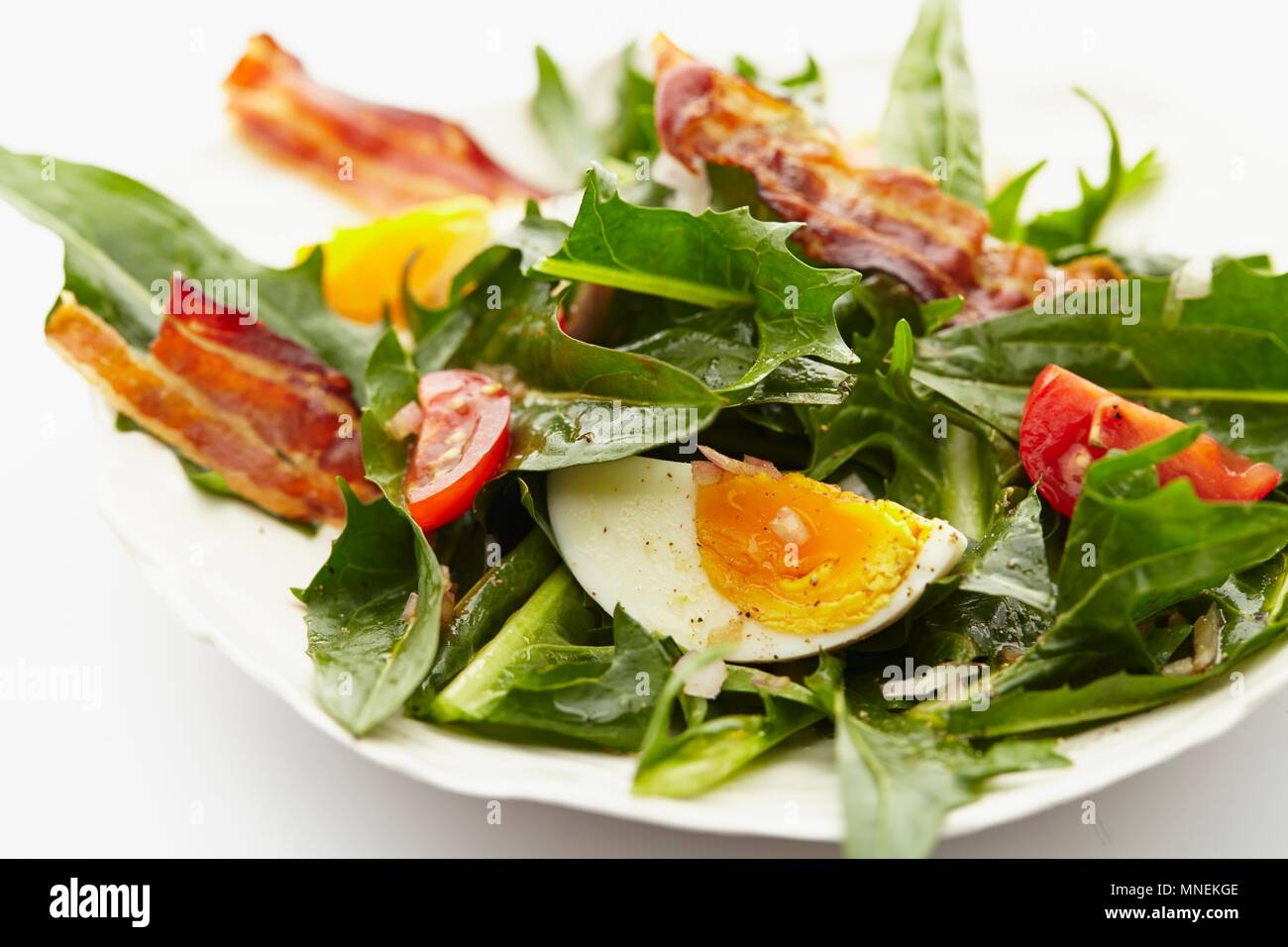 Foglia di tarassaco con insalata di pomodori, uova sode e pancetta fritta Foto Stock