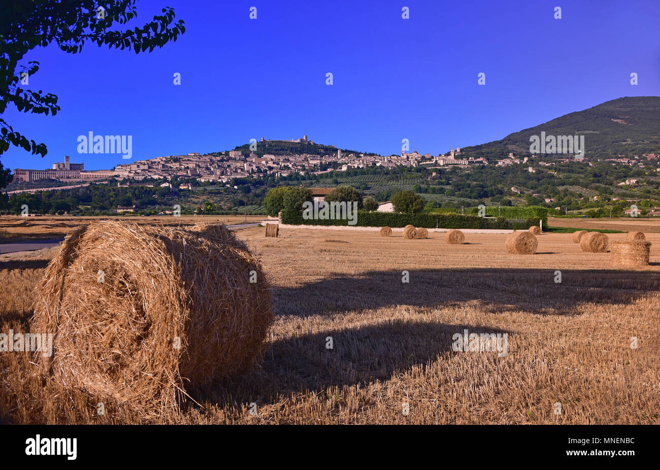 Carte topografiche vista panoramica di Assisi sullo sperone del Monte Subasio, come si è visto sopra tagliare i campi di grano con rotoli di fieno, Assisi, Italia Foto Stock