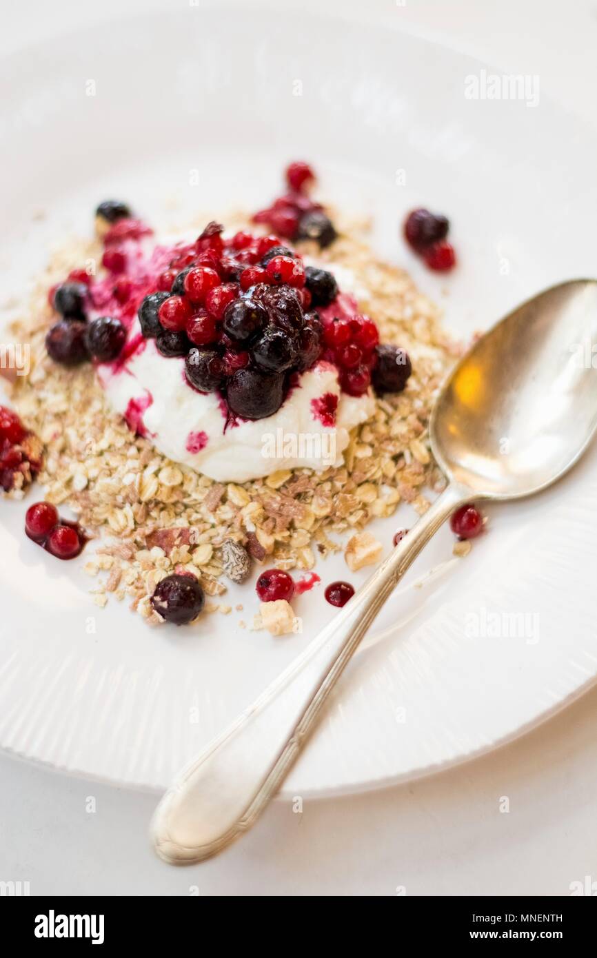 Il Porridge di avena con yogurt greco e ribes Foto Stock