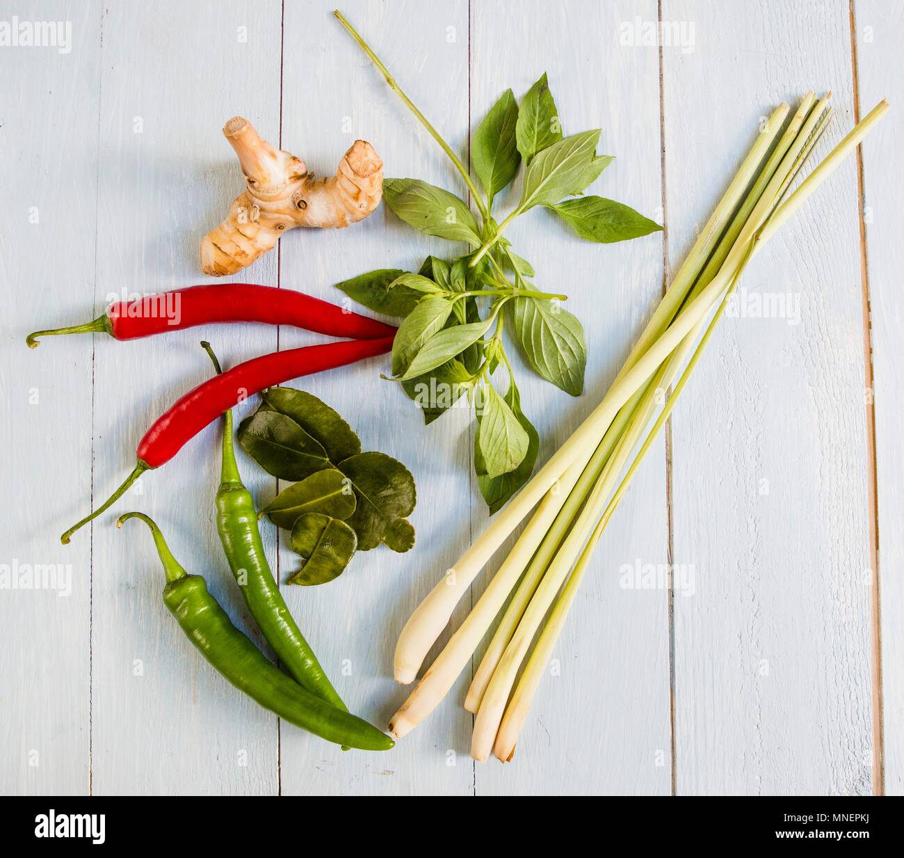 Le spezie per la salsa al curry Foto Stock