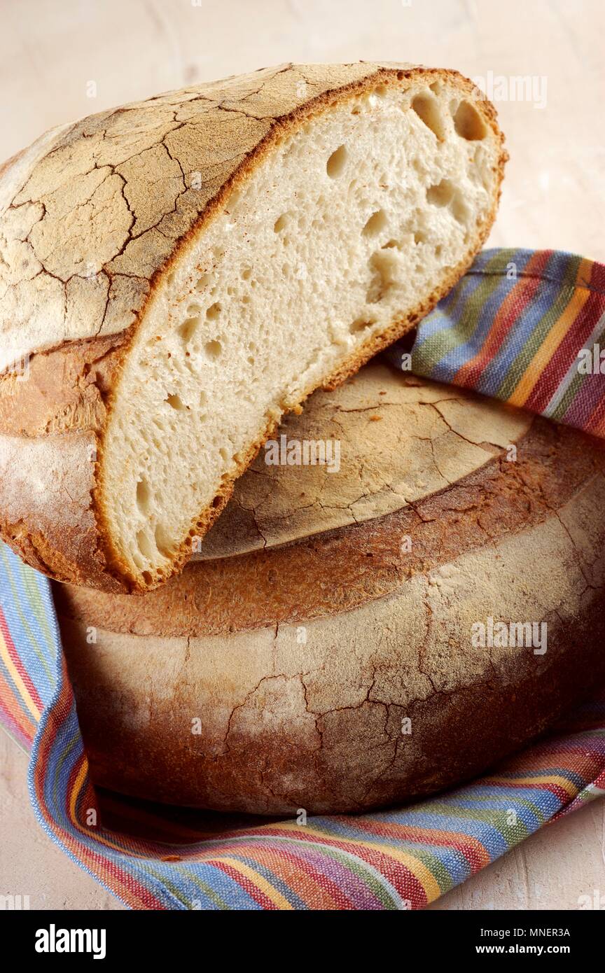 Riquadro (pugliese pane tipico della Puglia, Italia) Foto Stock