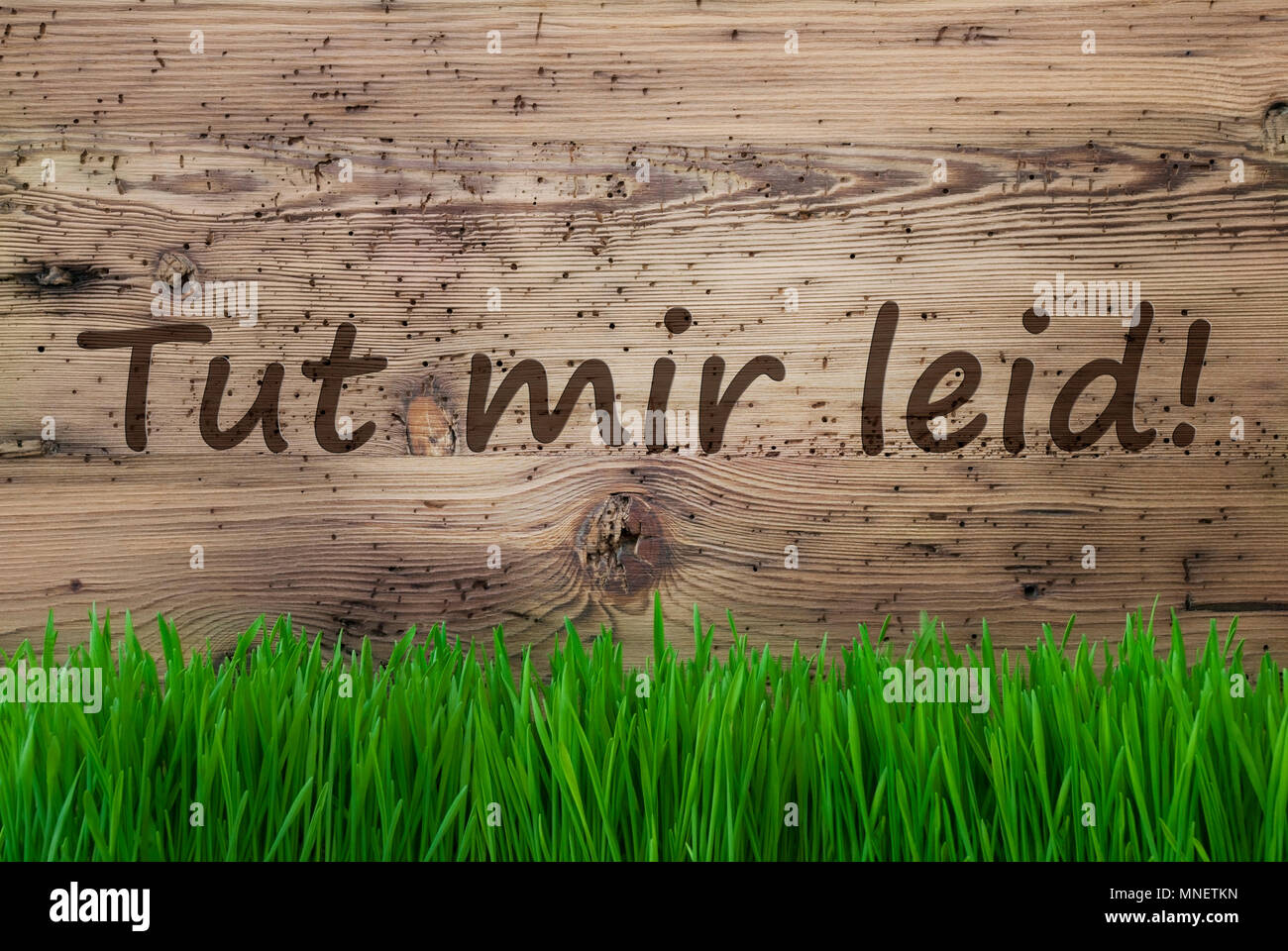 Testo Tedesco Tut Mir Leid significa Spiacenti. Stagione Primavera biglietto di auguri. Invecchiato in legno con sfondo Gras. Foto Stock