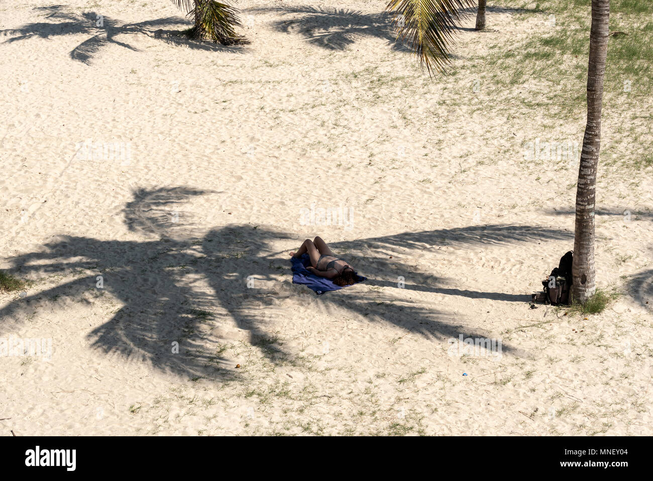 Donna che stabilisce nell'ombra di una palma su una spiaggia di Puerto Villamil, Isabela Island, Isole Galapagos, Ecuador. Foto Stock