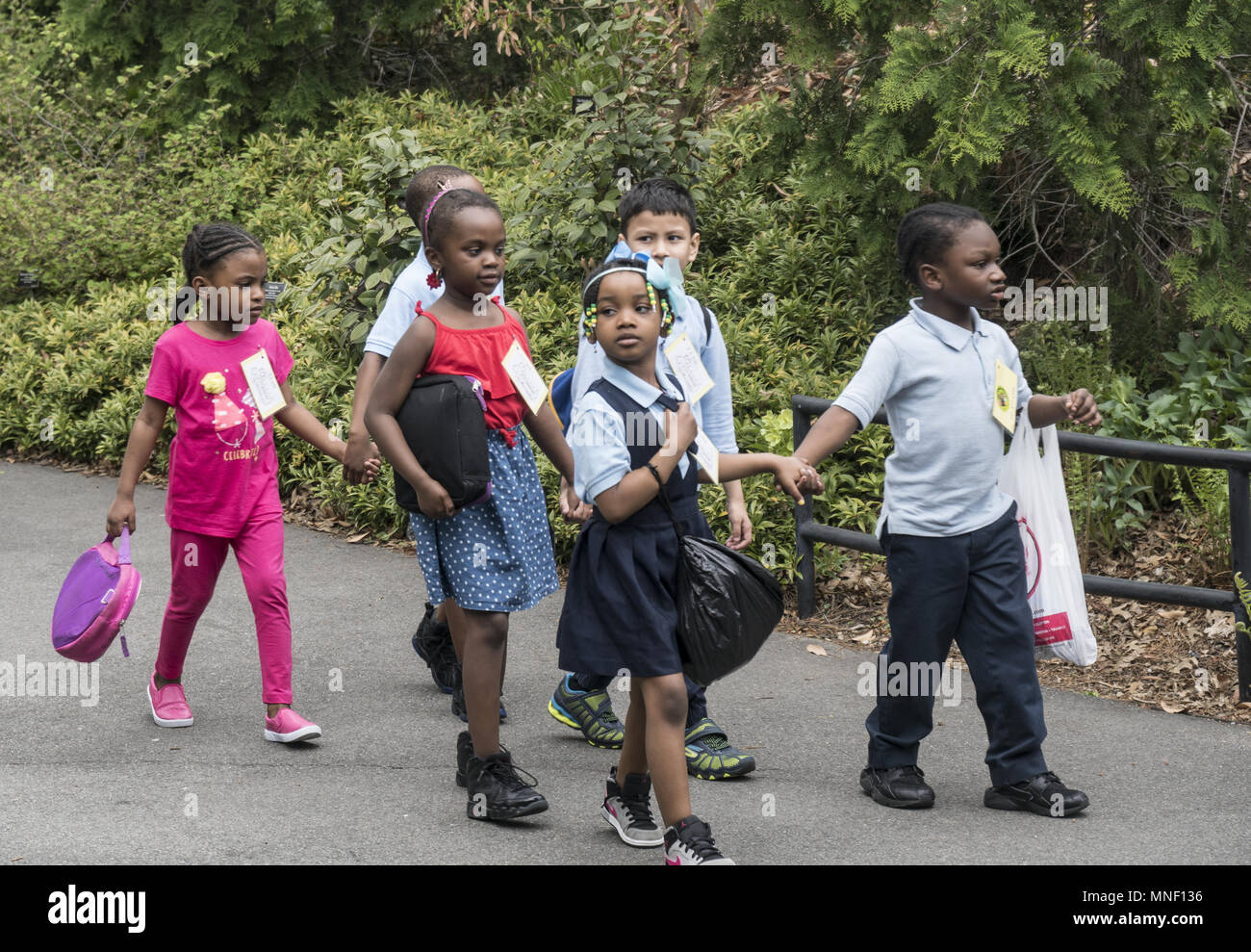 Giovane africana i bambini delle scuole americane a piedi prendendo in le naturali bellezze al Brooklyn Botanic Garden durante una gita a Brooklyn, New York. Foto Stock