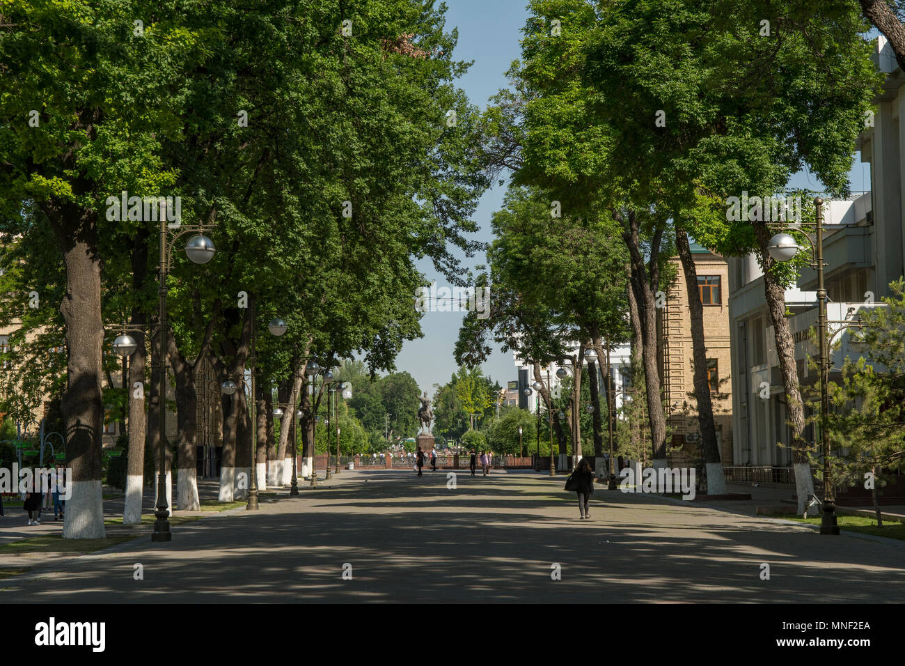 Il Broadway, Tashkent, Uzbekistan Foto Stock