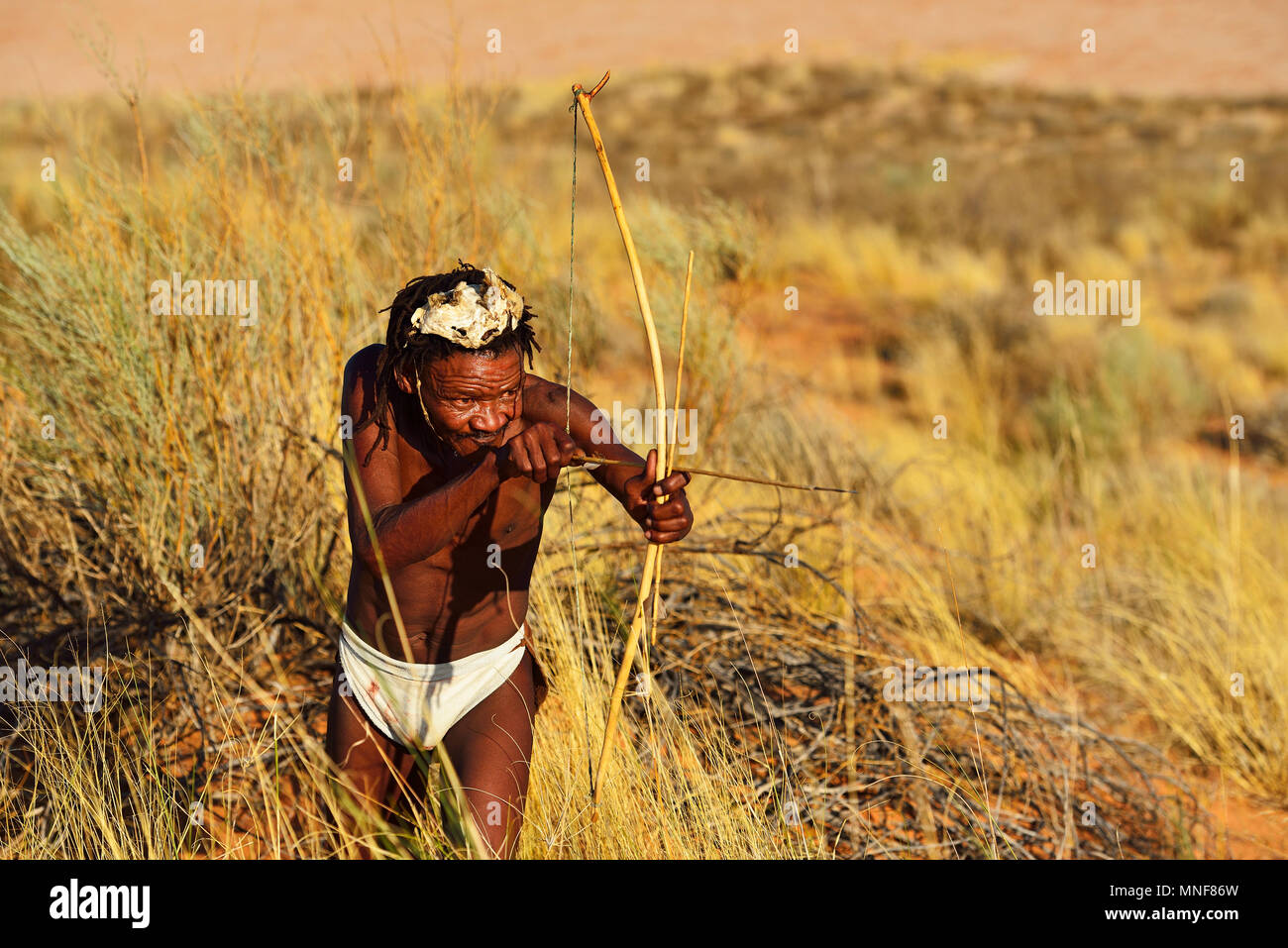 Bushman di San persone caccia, !Xaus Lodge, il Kalahari o Kglagadi Parco transfrontaliero, Northern Cape, Sud Africa Foto Stock