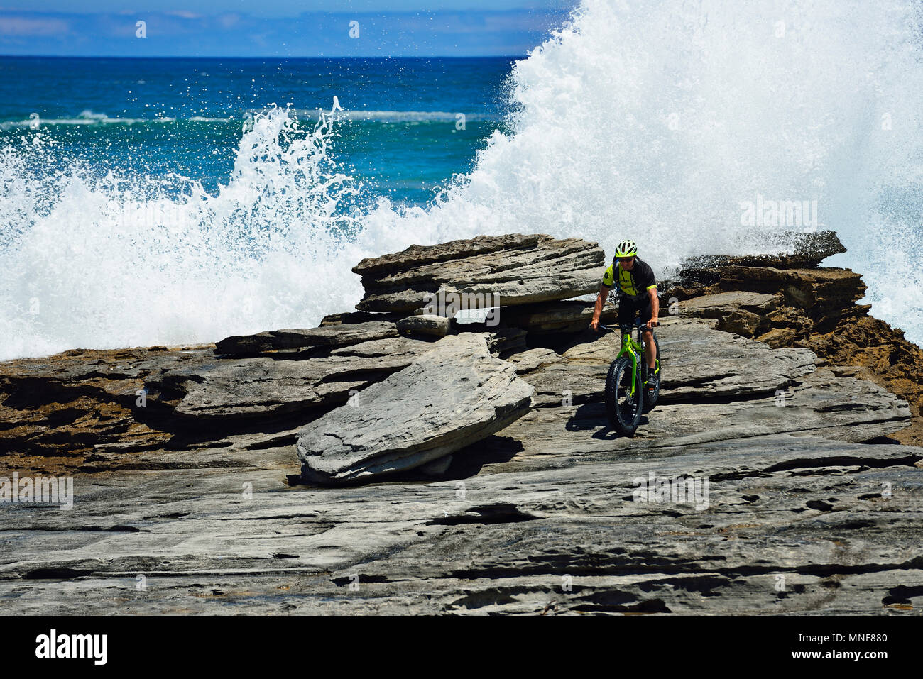 Mountainbiker con Fatbike sulla scogliera, tour in bici a morire Plaat Beach, riserva, De Kelders, Gansbaai, Western Cape Foto Stock