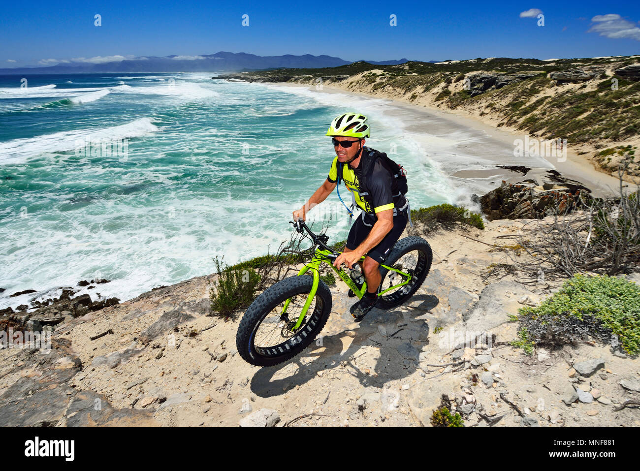 Mountainbiker con Fatbike sulla scogliera, tour in bici a morire Plaat Beach, riserva, De Kelders, Gansbaai, Western Cape Foto Stock