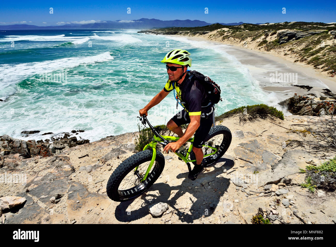 Mountain biker con Fatbike sulla scogliera, tour in bici a morire Plaat Beach, riserva, De Kelders, Gansbaai, Western Cape Foto Stock